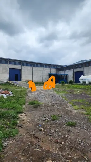 5000 M2 የሚሼጥ መጋዘን Warehouse Gellan Industrial Zone