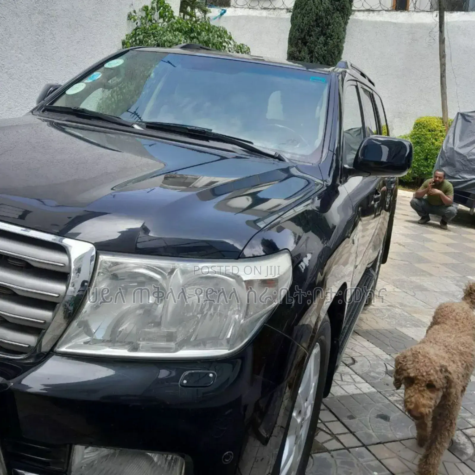 Toyota Land Cruiser 2013 Matt Black