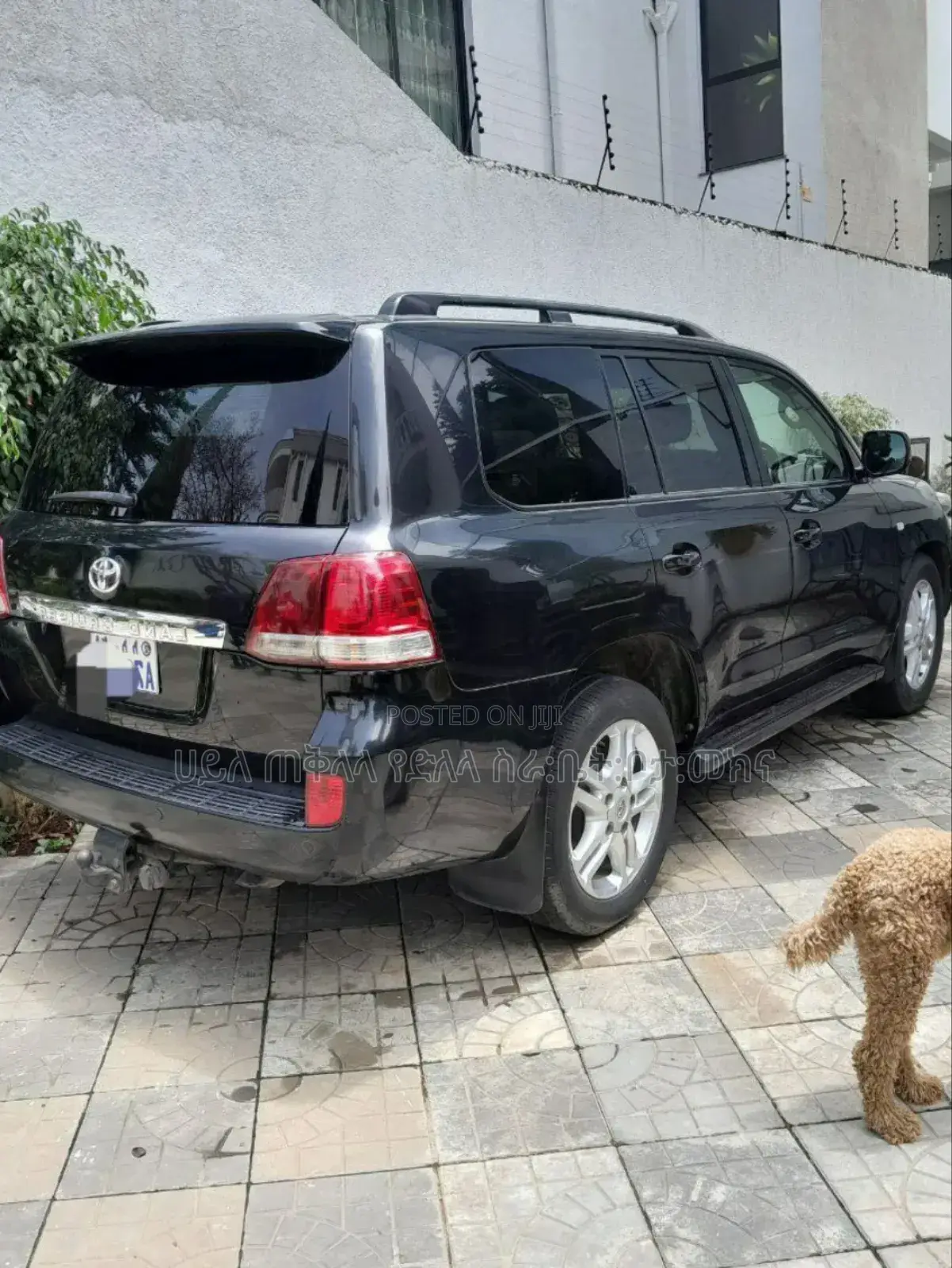 Toyota Land Cruiser 2013 Matt Black