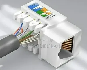 Photo - Keystone Jack