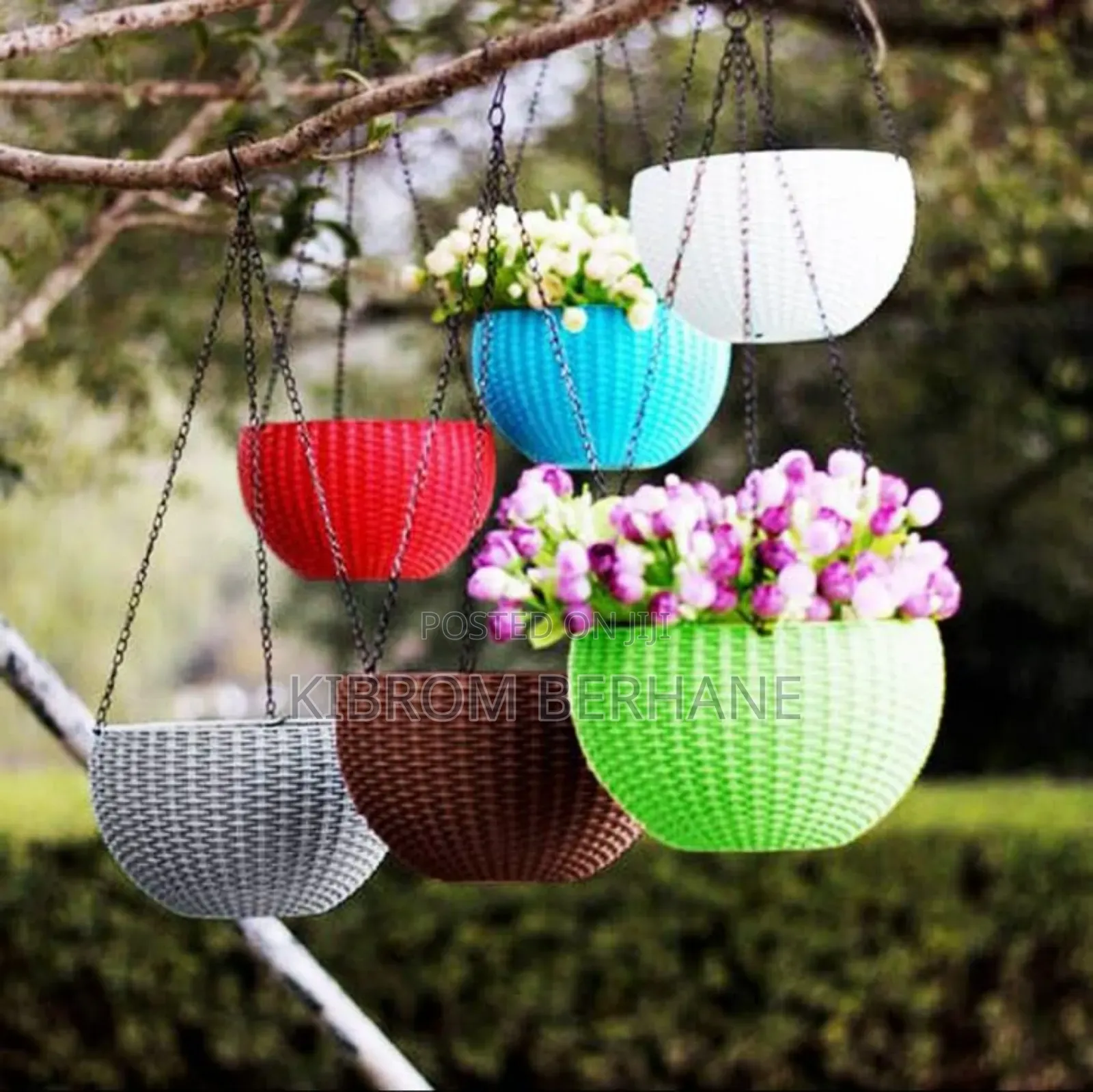 Beautiful Hanging Planters