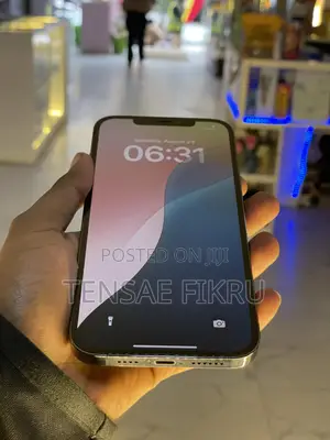 Photo - Apple iPhone 12 Pro Max 256 GB Gray