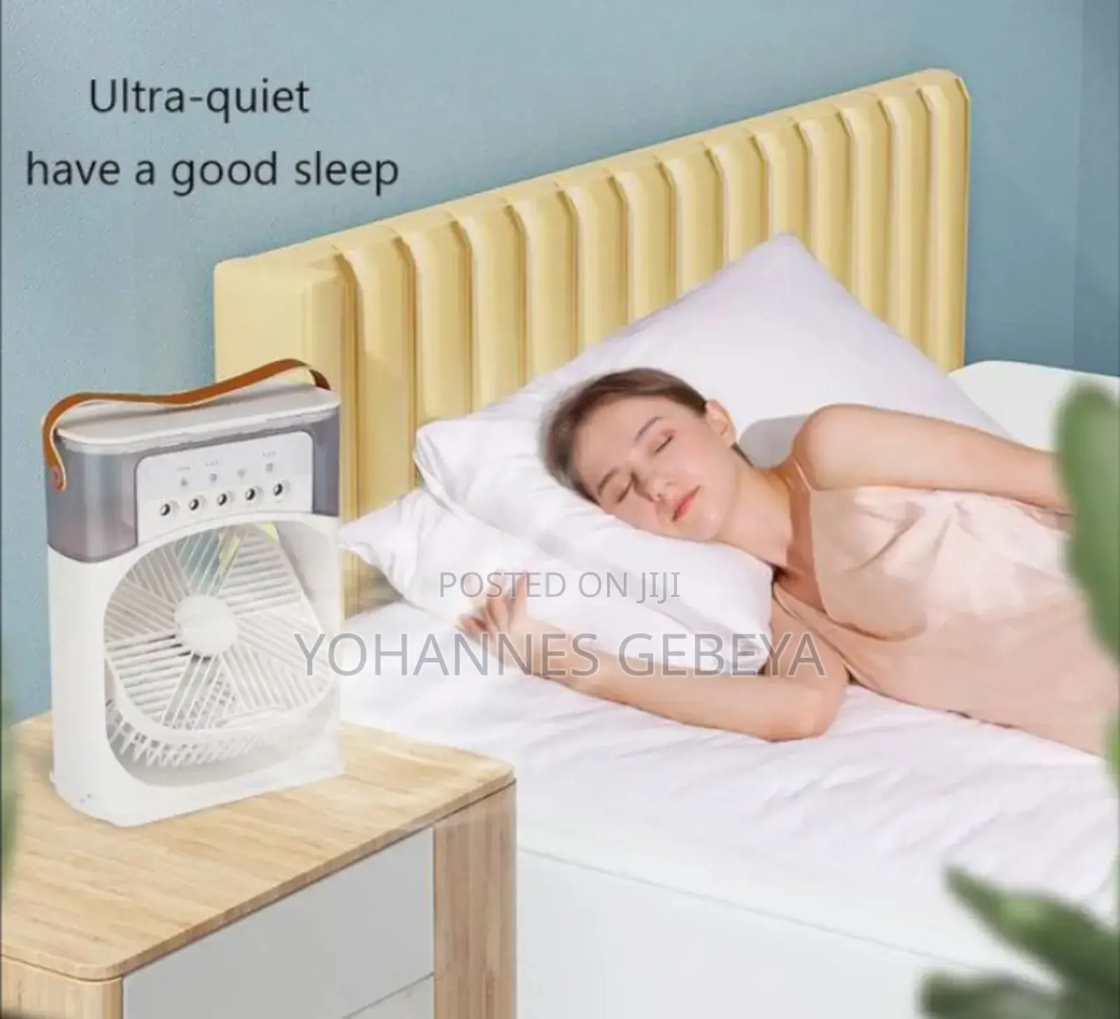 Duel Use Air Cooler Fan and Humidifier