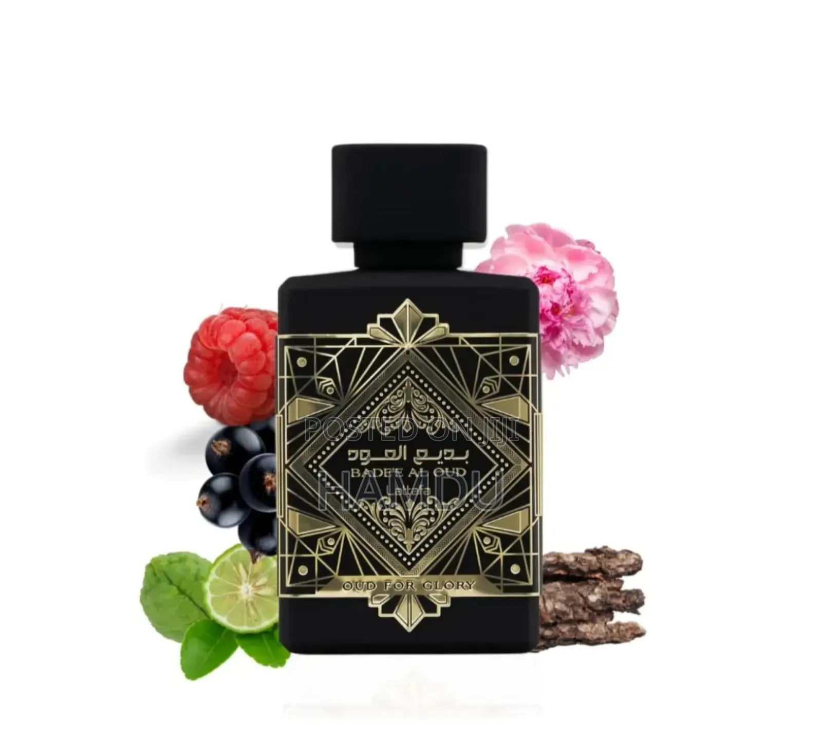 Bade'e Al Oud,Oud for Glory