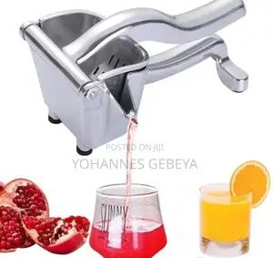 Manual Fruit Press