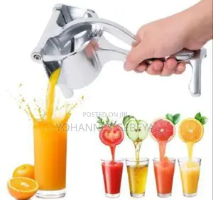 Manual Fruit Press