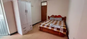 Furnished 1bdrm Apartment in Yeka for rent