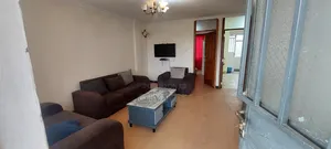 Photo - Furnished 1bdrm Apartment in Yeka for rent