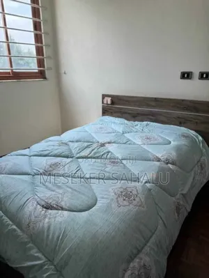 በታላቅ ቅናሽ ይጠቀሙ