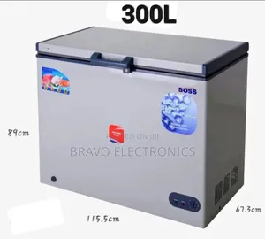 Boss 300l Deep Freezer – Big Storage, Big Savings!