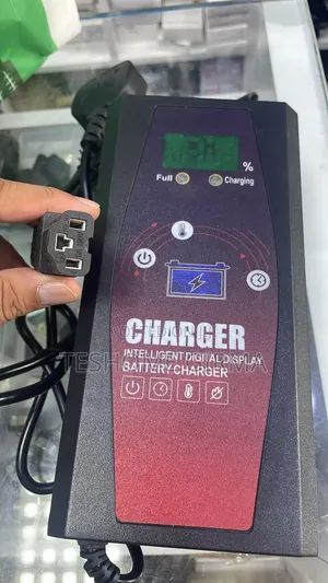 Electric Scooter/E-Bike Charger
