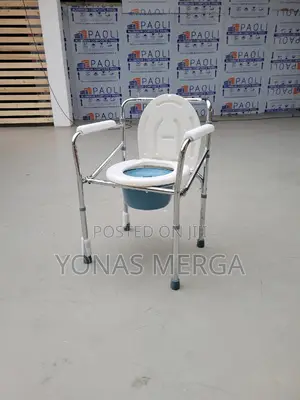 Photo - Toilet+Assistance With Toileting Due to Illness, Injury, or Disability