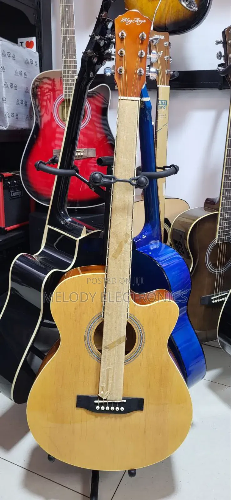 Meg Arya
Acoustic Box Guitar