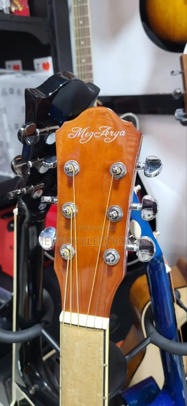 Meg Arya
Acoustic Box Guitar