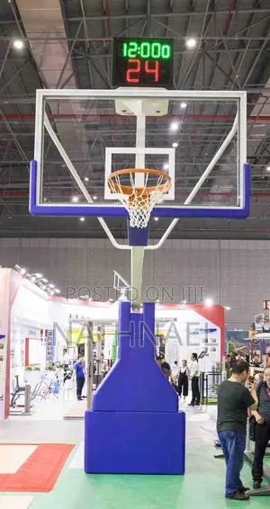 Professional Basket Ball Stand