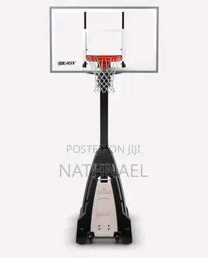 Professional Basket Ball Stand