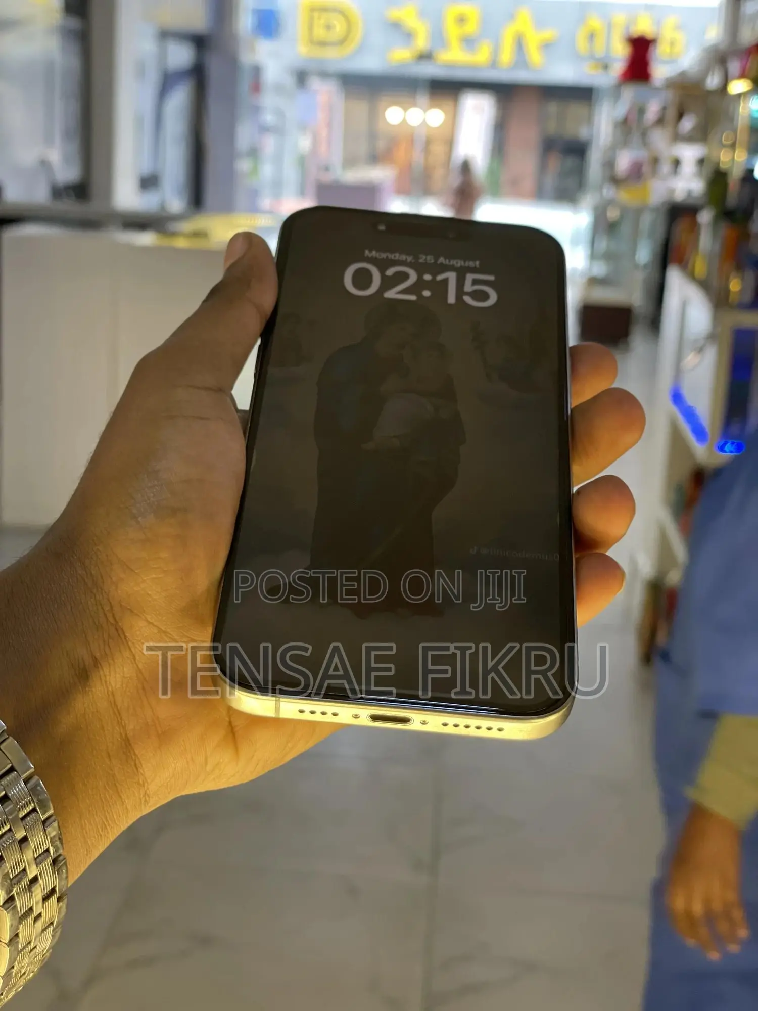 Apple iPhone 15 Pro Max 256 GB Silver