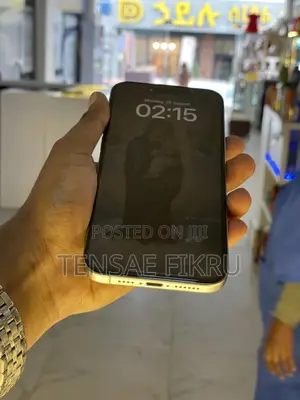 Apple iPhone 15 Pro Max 256 GB Silver