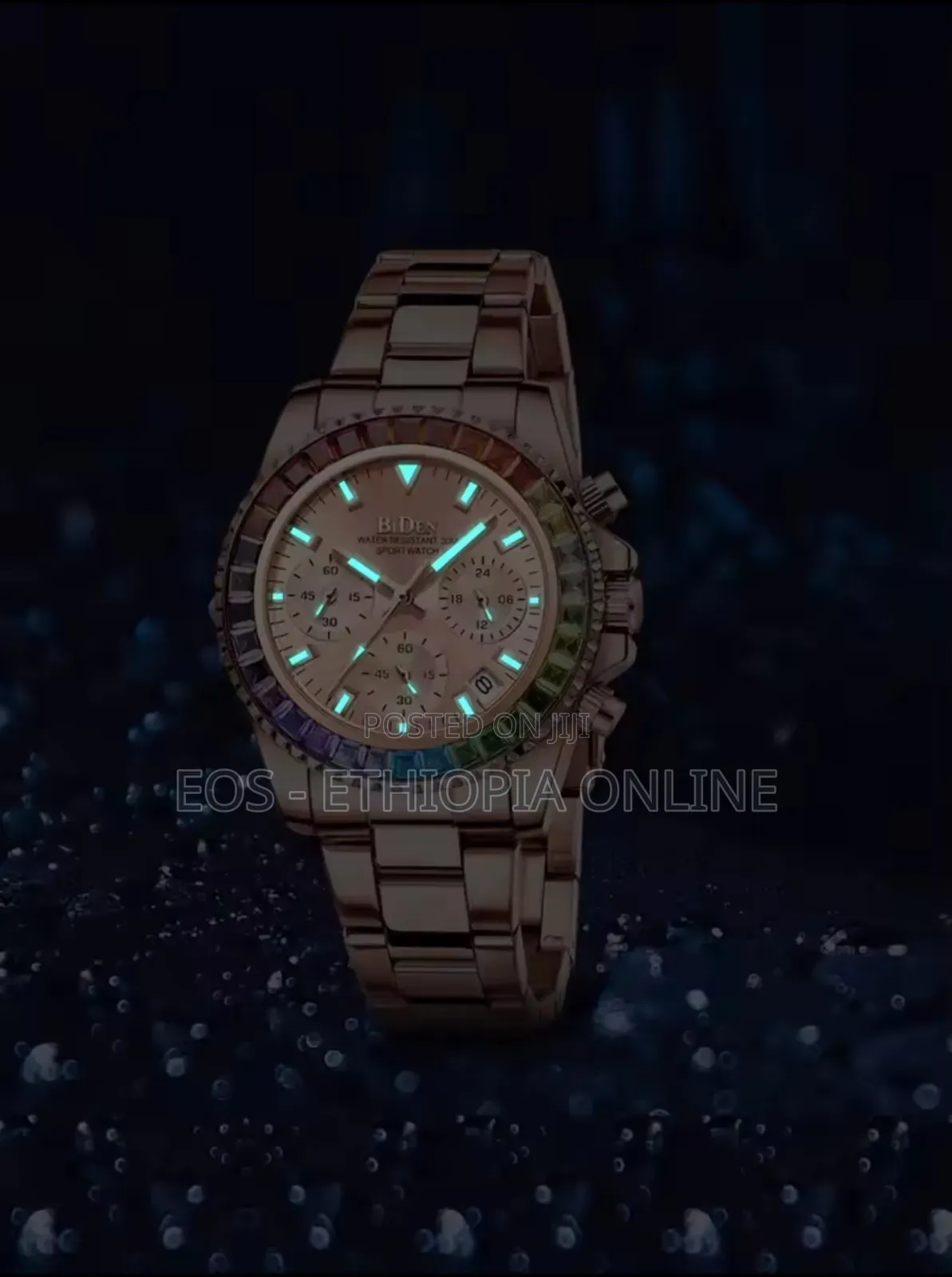 Biden Brand Elegant Women's Watch [Preorder]