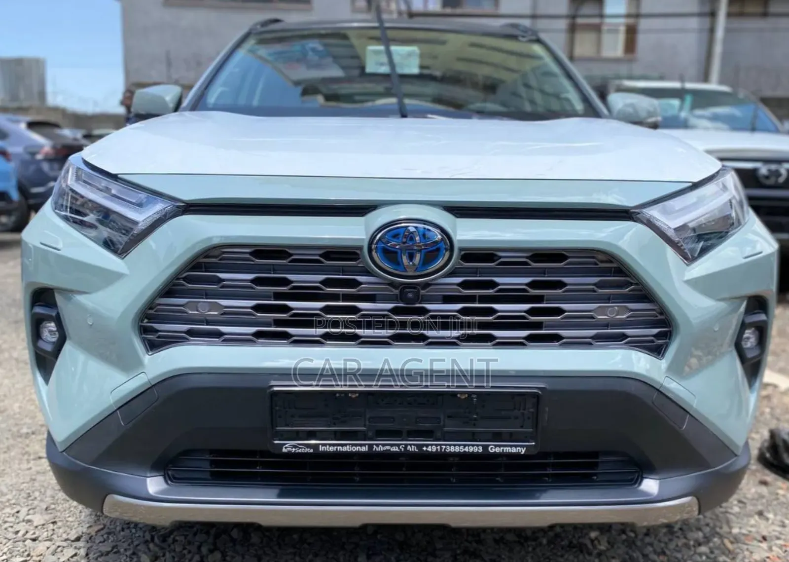 New Toyota RAV4 2024 Gray