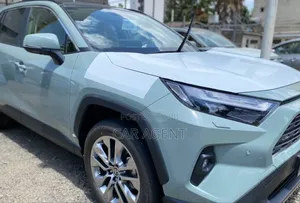 New Toyota RAV4 2024 Gray