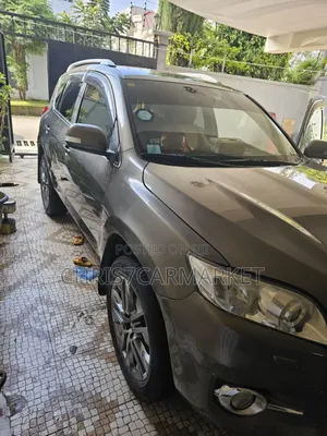 Toyota RAV4 2013 Brown