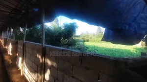 Henhouse Ware House for Rent