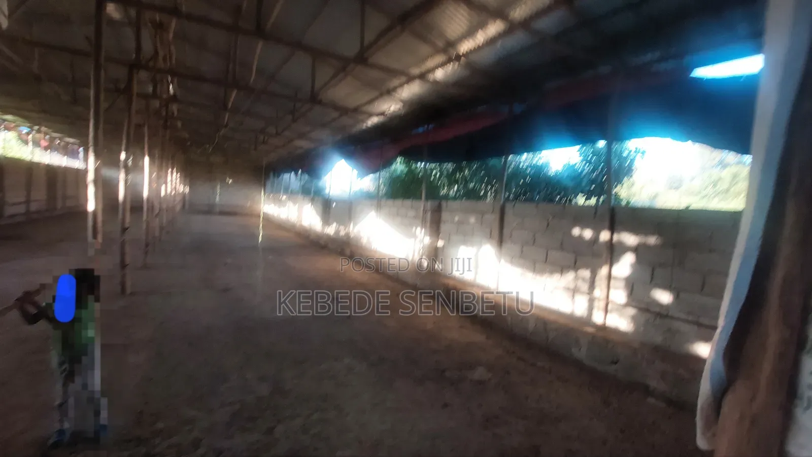 Henhouse Ware House for Rent