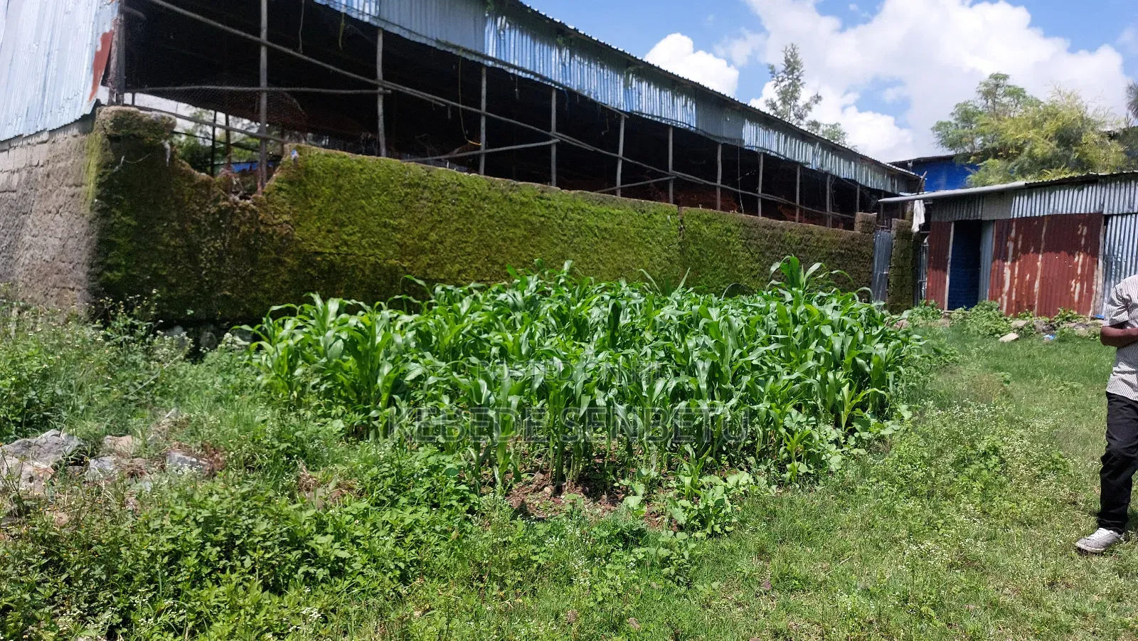 Chikeen Ware House For Rent