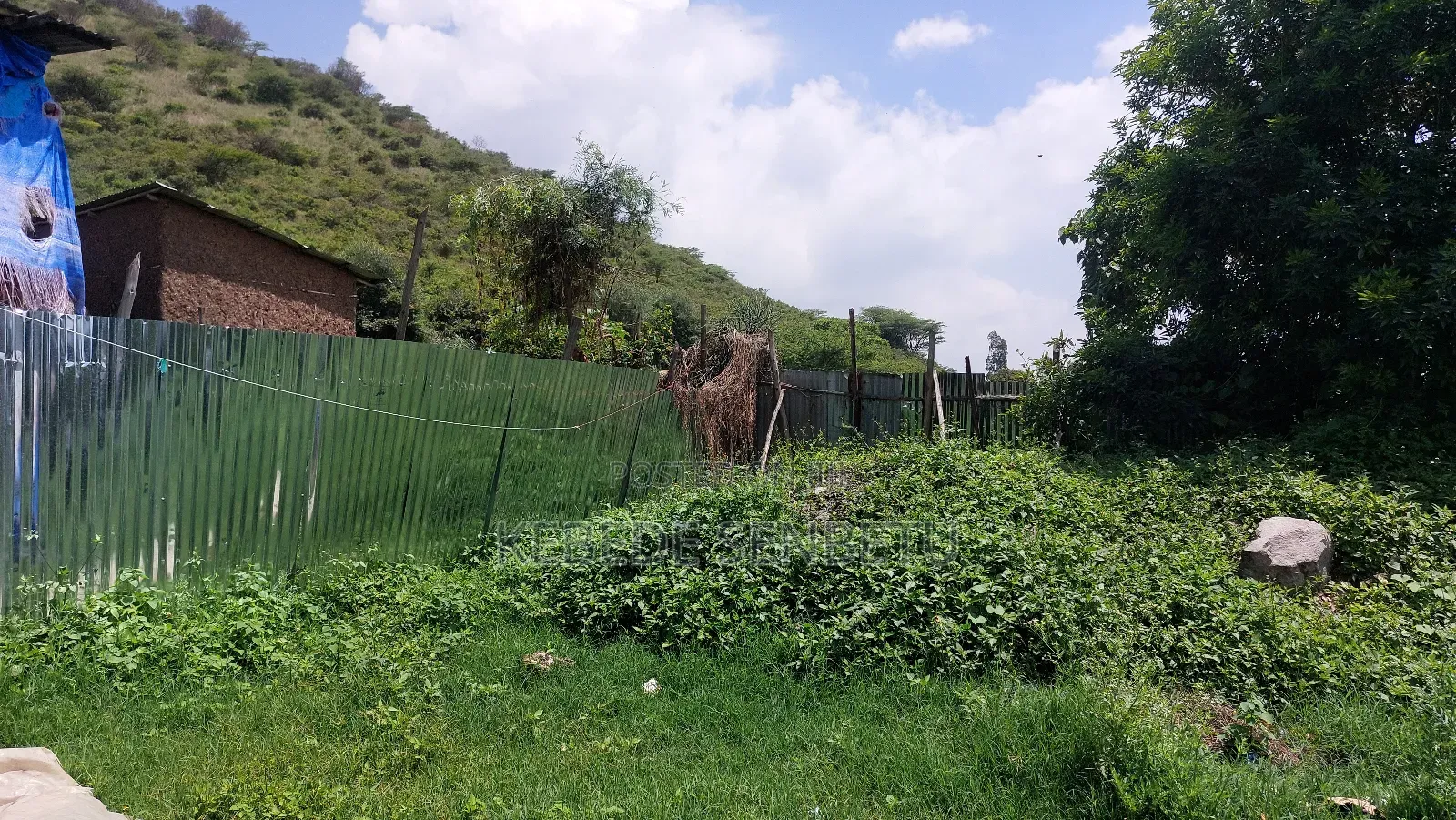 Chikeen Ware House For Rent