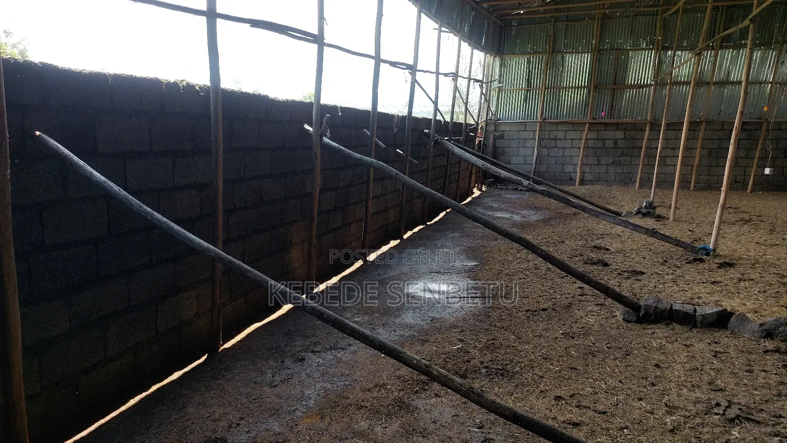 Chikeen Ware House For Rent