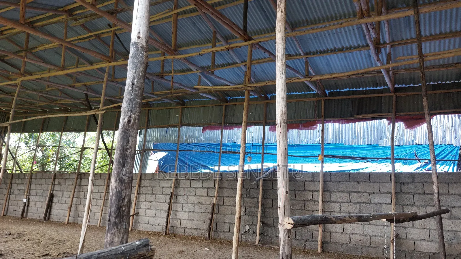 Chikeen Ware House For Rent