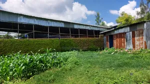 Photo - Chikeen Ware House For Rent