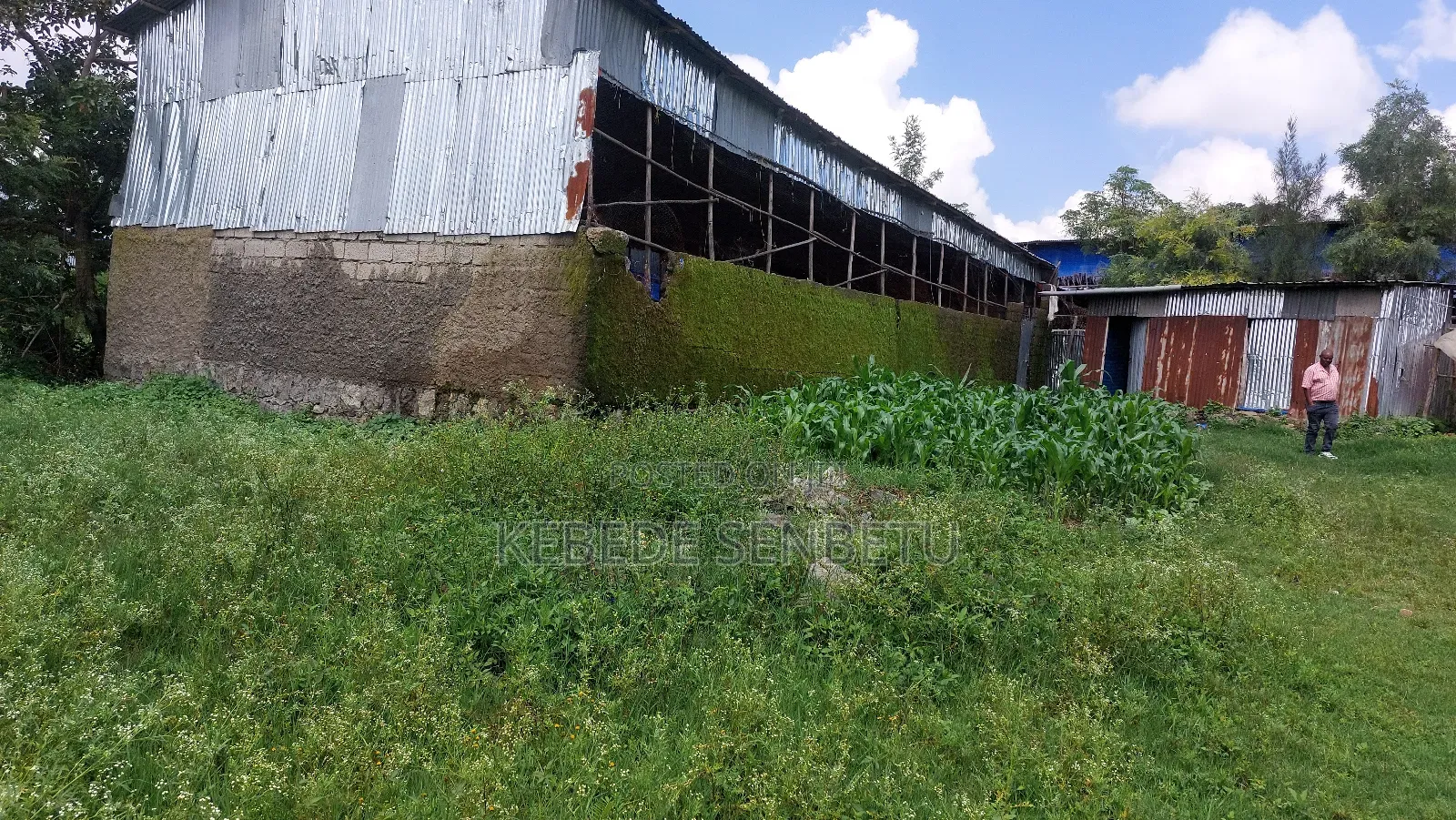 Chikeen Ware House For Rent