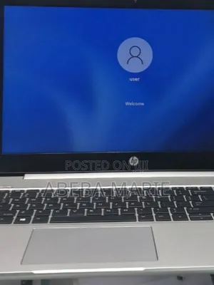 New Laptop HP Probook 450 16GB AMD Ryzen 5 SSD 512GB