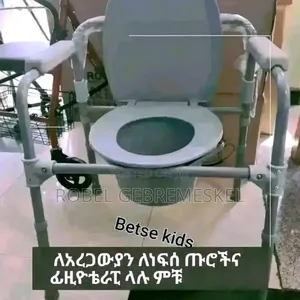 Toilet Chair and Seater