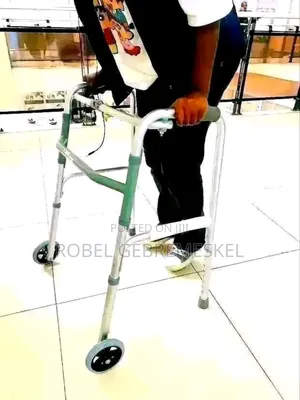 Toilet Chair and Seater