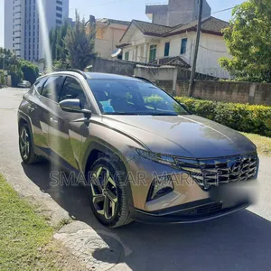 Hyundai Tucson 2021 Brown