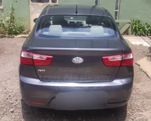 Kia Rio 2013 Gray