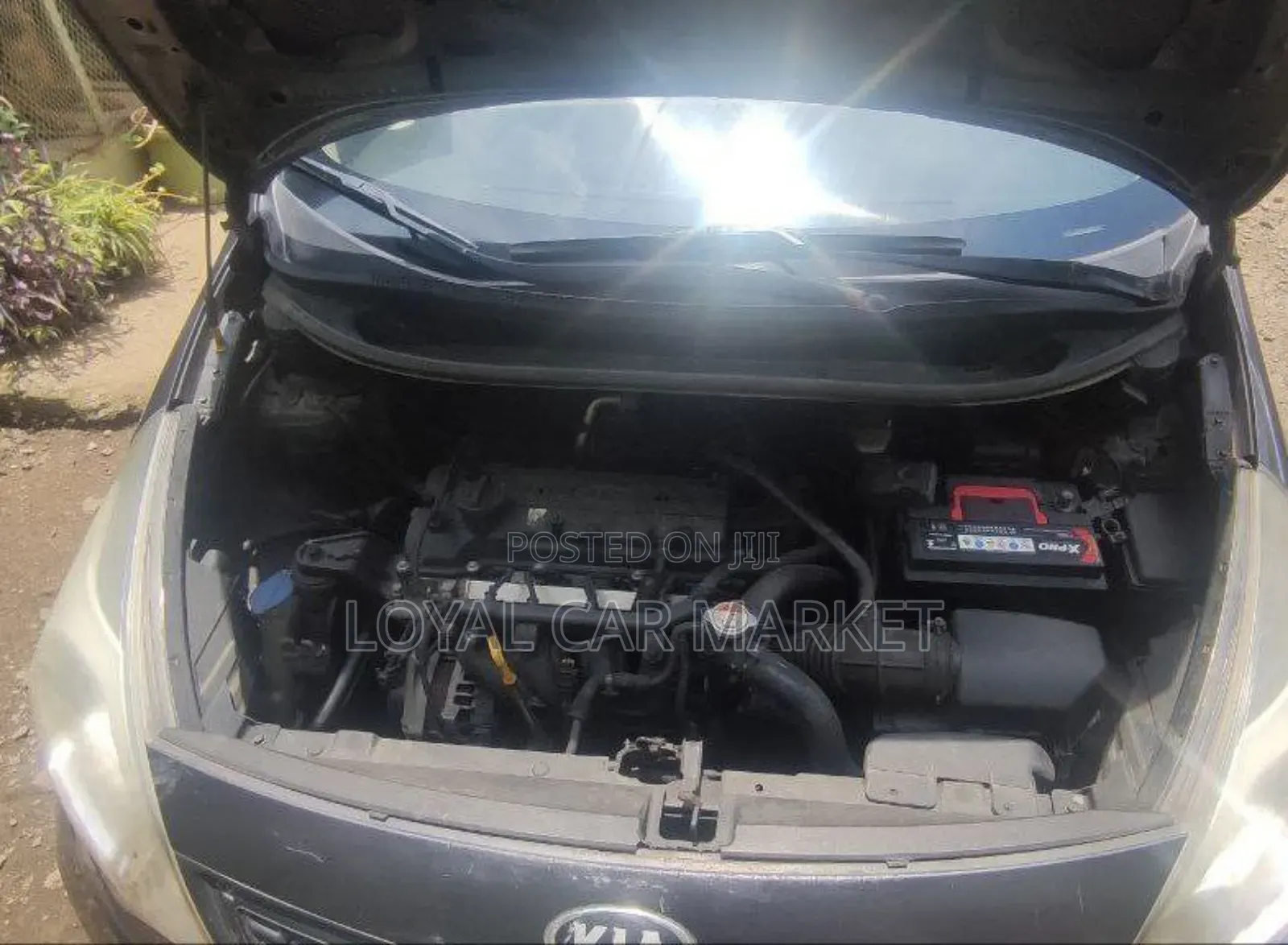 Kia Rio 2013 Gray