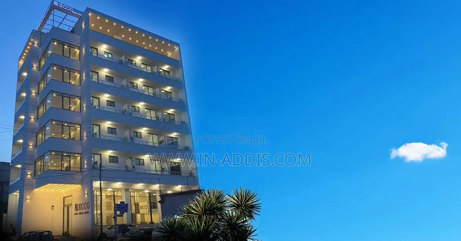 Furnished 1bdrm Apartment in Bole for rent