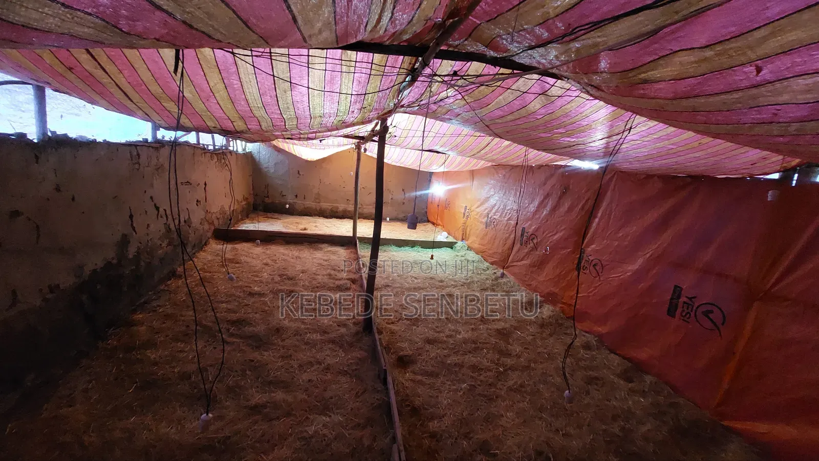 Chikeen Ware House for Rent