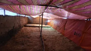 Chikeen Ware House for Rent