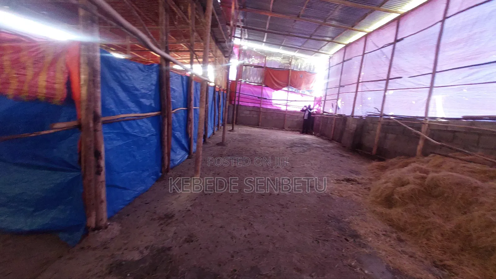 Chikeen Ware House for Rent