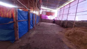 Chikeen Ware House for Rent