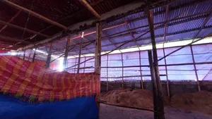 Photo - Chikeen Ware House for Rent