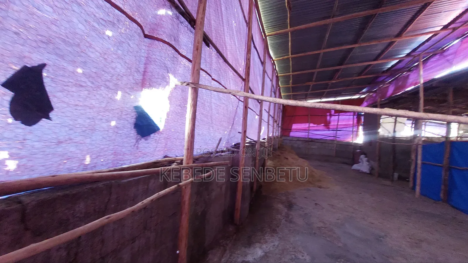 Chikeen Ware House for Rent