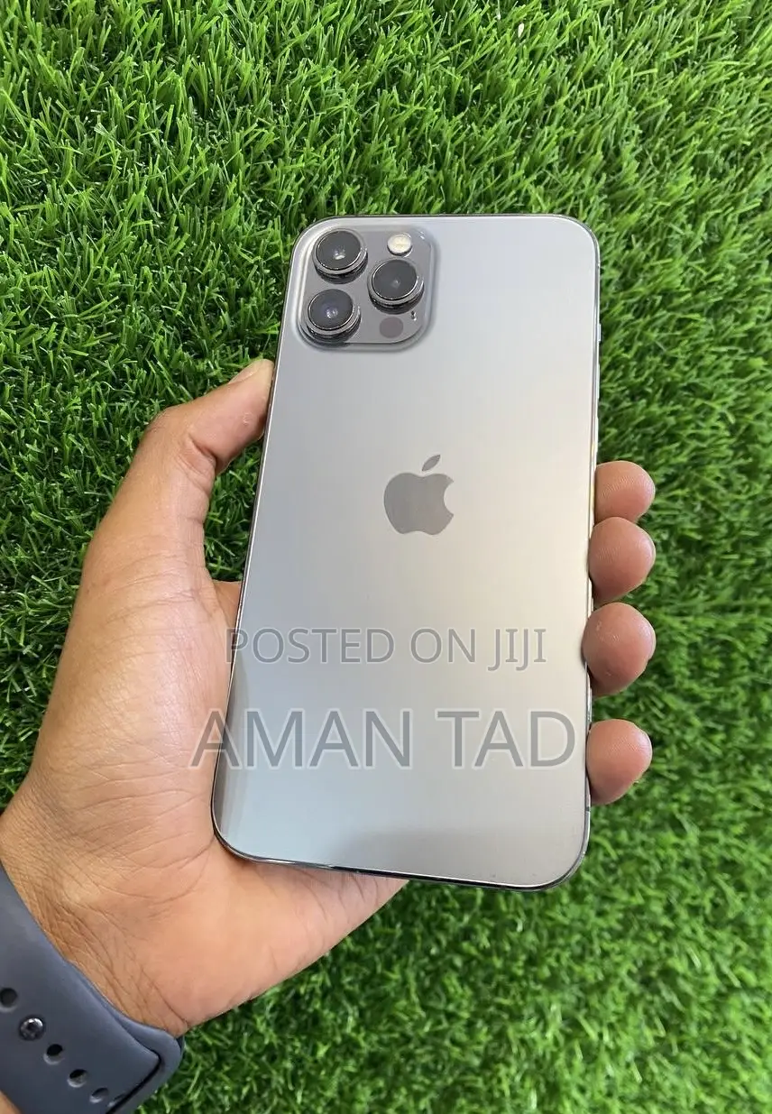 Apple iPhone 12 Pro Max 256 GB Blue