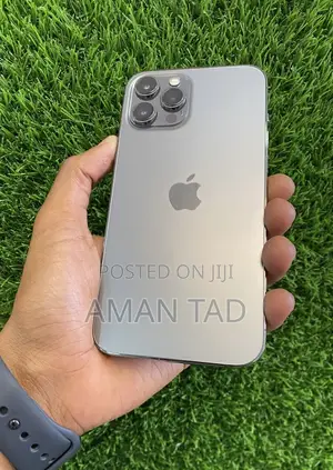 Apple iPhone 12 Pro Max 256 GB Blue