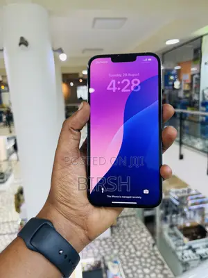 Apple iPhone 13 Pro Max 256 GB Blue